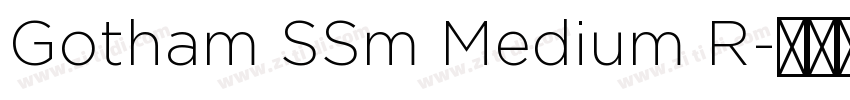 Gotham SSm Medium R字体转换
